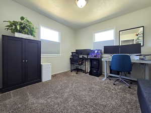 Home office featuring healthy amount of natural light and carpet flooring