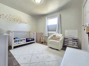 Carpeted bedroom with a crib