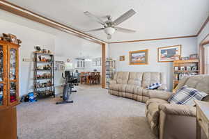 Living area featuring carpet floors, a ceiling fan, a textured ceiling, lofted ceiling, and ornamental molding