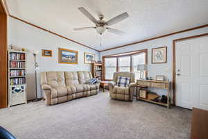 Carpeted living area featuring ornamental molding, a ceiling fan, a textured ceiling, and lofted ceiling