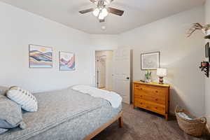 Bedroom featuring carpet and ceiling fan