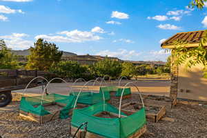 View of yard with a garden and a mountain view