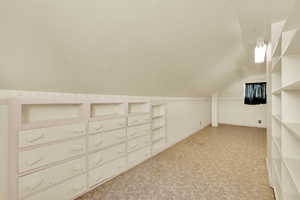 Additional living space featuring lofted ceiling and light carpet