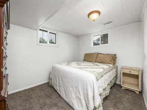 Carpeted bedroom with multiple windows