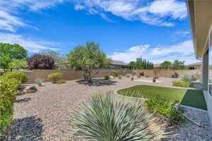View of fenced backyard
