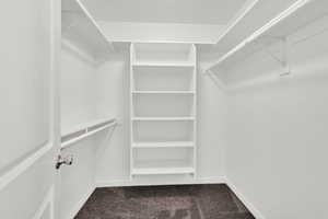 Spacious closet featuring carpet