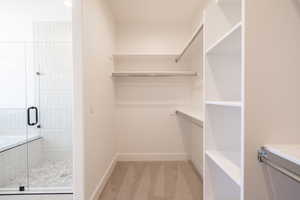 Walk in closet with light carpet