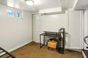 Basement featuring carpet floors and a textured ceiling