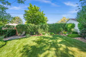 Backyard  featuring a patio and shed behind full grown hedge