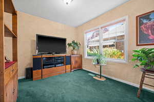 TV area in the living room with northern natural light