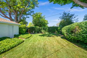 View of backyard and garage