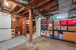 Basement with storage closet and workshop
