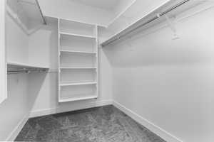 Spacious closet with dark colored carpet