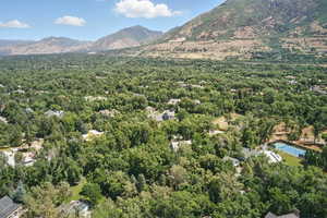 Drone / aerial view of a mountainous background and a heavily wooded area
