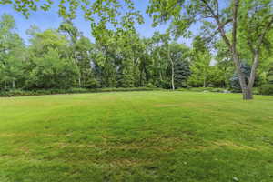 View of green lawn