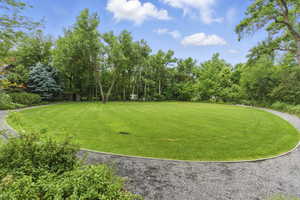 .5 acres of manicured lawn