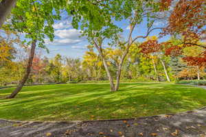 View of grassy yard