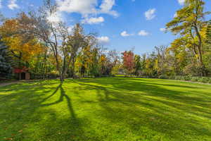View of grassy yard