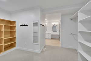 ADU Walk in closet with light carpet