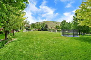 View of grassy yard featuring a trampoline and a mountain view