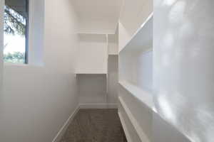 Spacious closet featuring dark colored carpet