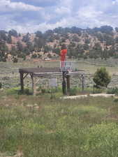 Gazebo with Basketball Court