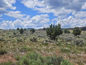 Beautiful Property Views with Nice Trees