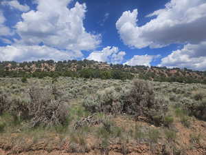 Beautiful Property Views