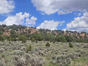 Beautiful Property Views