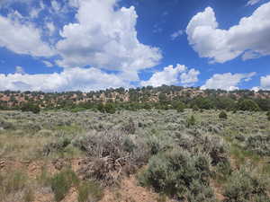 Beautiful Property Views