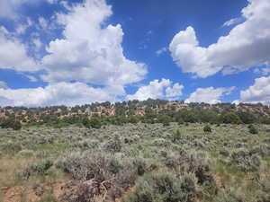 5 Acre Mountain Property Views