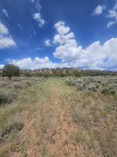 Grassy old road to Left side of Property