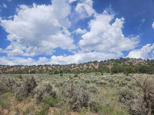 Beautiful Property Views