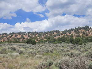 Beautiful Property Views