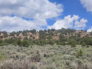 Beautiful Property Views