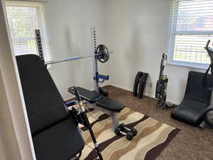 Workout area with carpet flooring and healthy amount of natural light