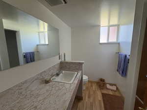 Bathroom with healthy amount of natural light, wood finished floors, and vanity