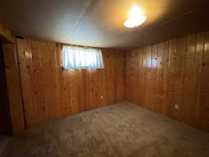 Below grade area featuring carpet flooring and wooden walls