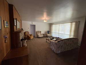 Living room featuring carpet floors and a fireplace