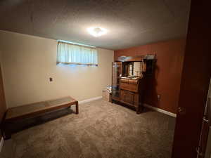 Bedroom with carpet and wooden walls