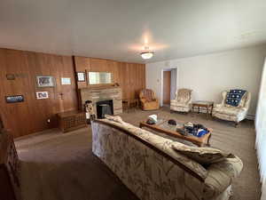 Living area featuring carpet, a stone fireplace, wooden walls, and a baseboard radiator