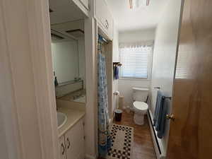 Bathroom with vanity, wood finished floors, and curtained shower