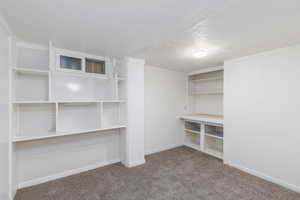 Spacious closet with carpet flooring