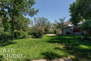 View of grassy yard