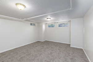 Below grade area with carpet and a textured ceiling