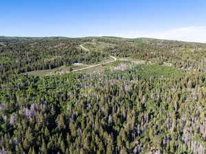Aerial overview of property's location featuring a heavily wooded area