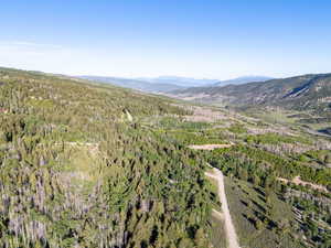 View of mountain background with a heavily wooded area