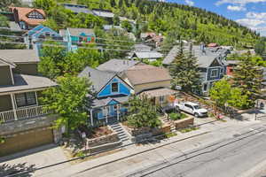Aerial perspective of suburban area with a forest