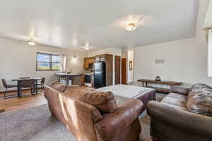 Living room featuring light wood-type flooring and light carpet