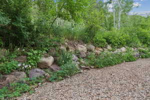 View of nature